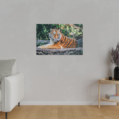 Tiger resting on a stone ledge with a dense green forest background; canvas wall art.