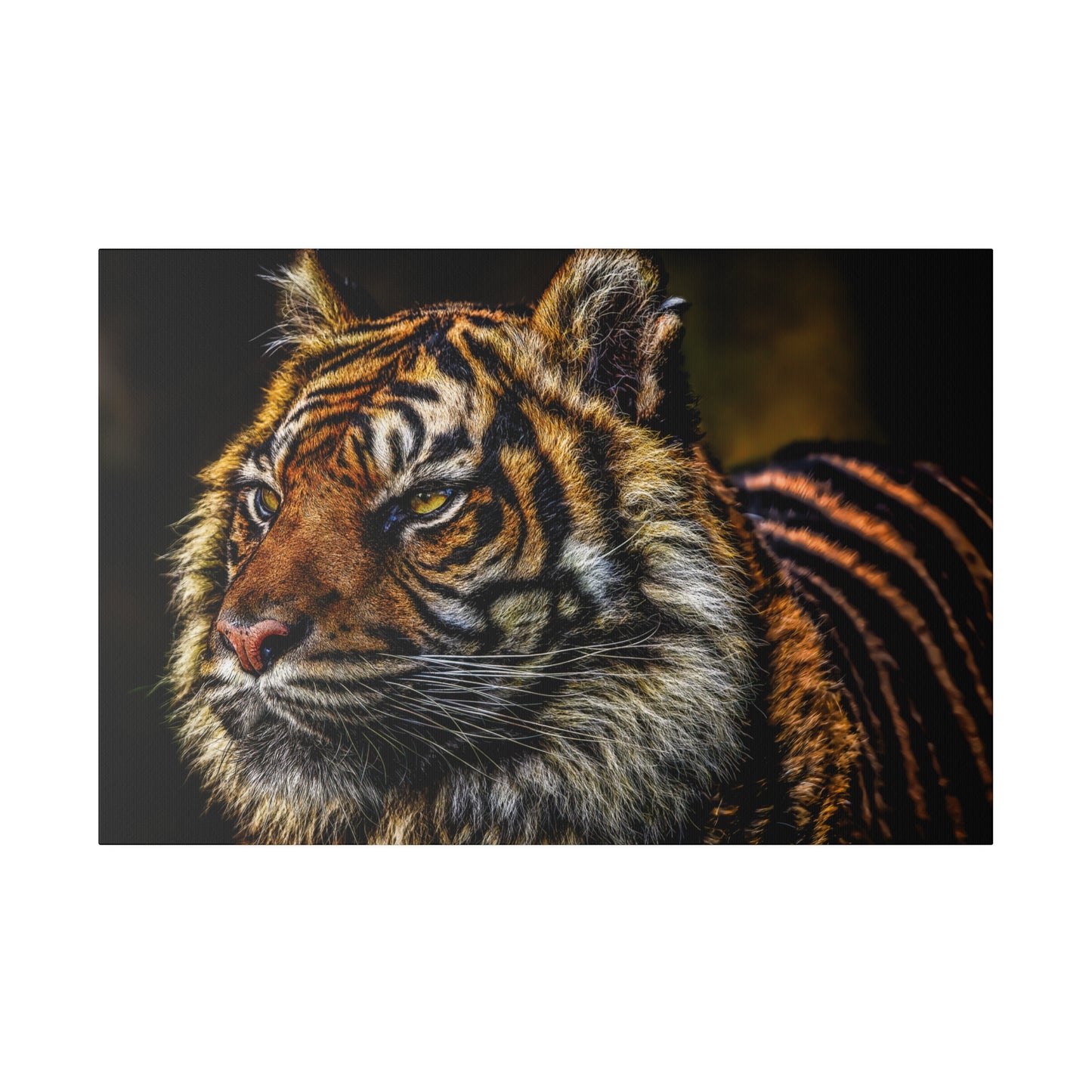 A majestic close-up of a tiger's face, showcasing the intricate details of its fur and the intense expression in its eyes. The portrait captures the tiger's powerful presence.