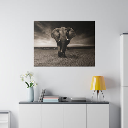 Black-and-white photograph of an elephant walking on a sandy beach toward the camera.