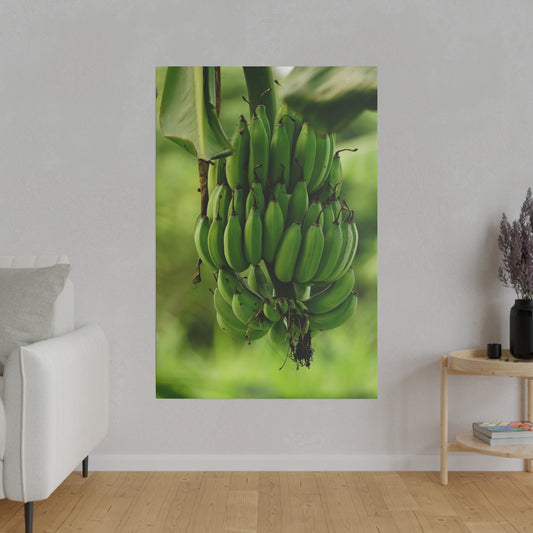 Vertical wall art print depicting a large bunch of green bananas hanging from a banana plant.