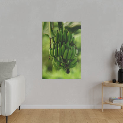 Vertical wall poster showing a close-up of a green banana bunch against a blurred outdoor background.