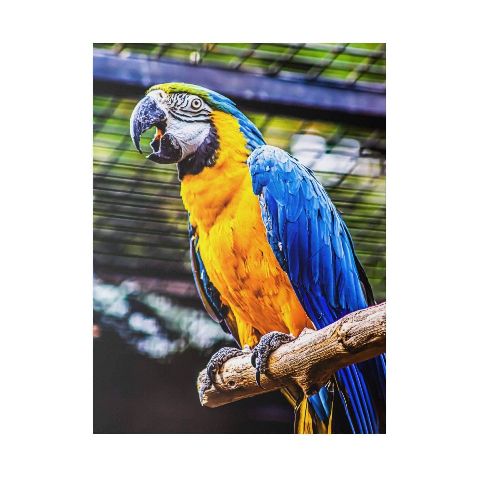 Macaw parrot with bright blue wings and yellow body perched on a textured branch in an enclosure.