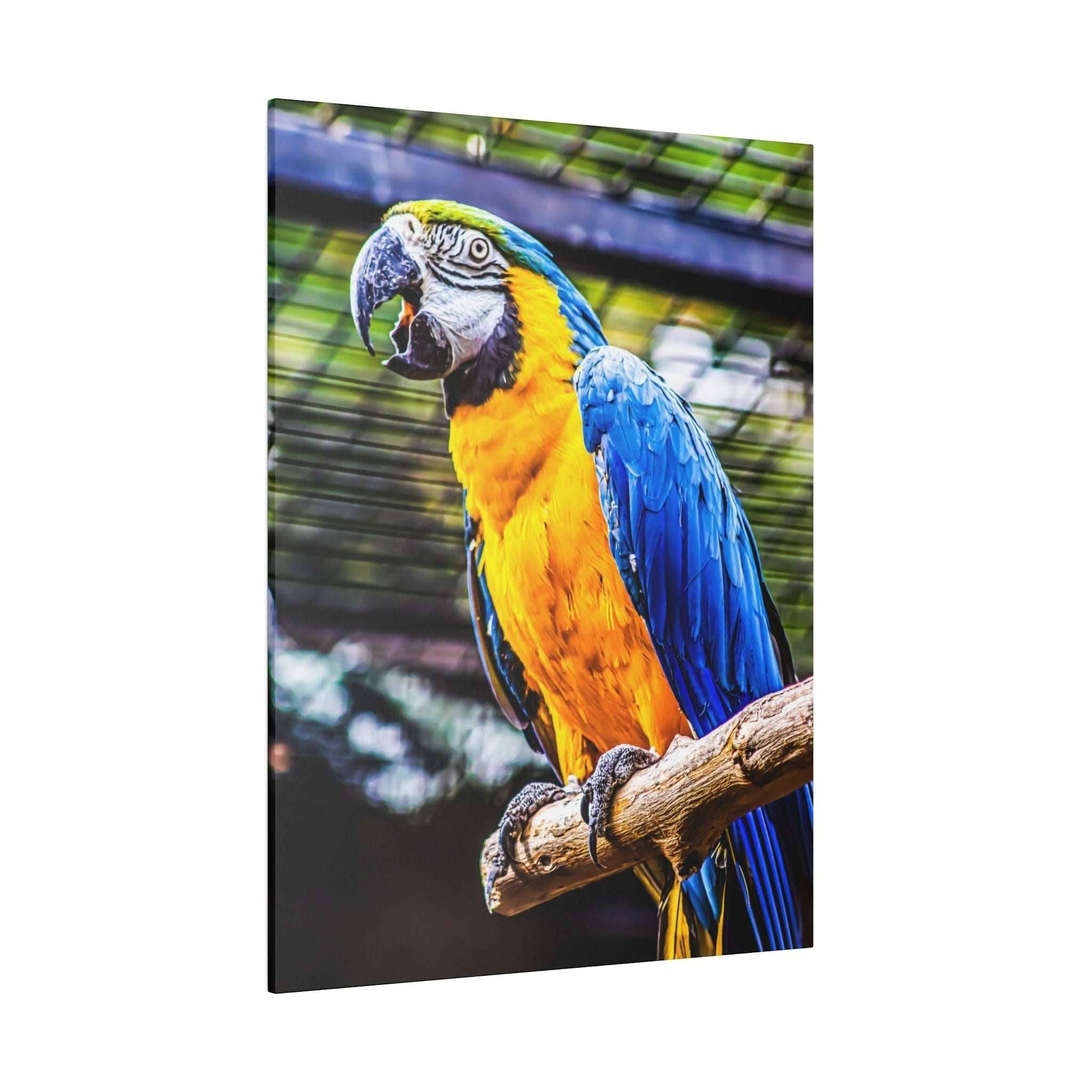 Bright blue-and-yellow macaw parrot perched on a wooden branch, with cage bars in the blurred background.