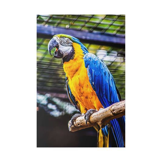 Blue-and-yellow macaw perched on a branch inside an enclosure, showing vivid blue wings and yellow chest.