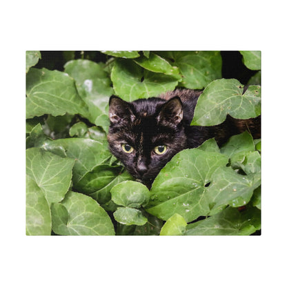 A black cat with yellow-green eyes hides among thick green leaves.