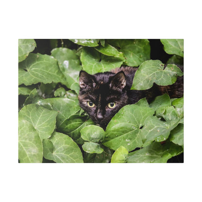 A black cat with yellow-green eyes peers through thick green leaves.