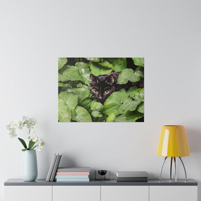 Framed print of a black cat peeking through dense green ivy leaves.