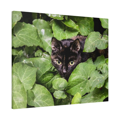 Black cat with yellow eyes hidden among dense green ivy leaves.