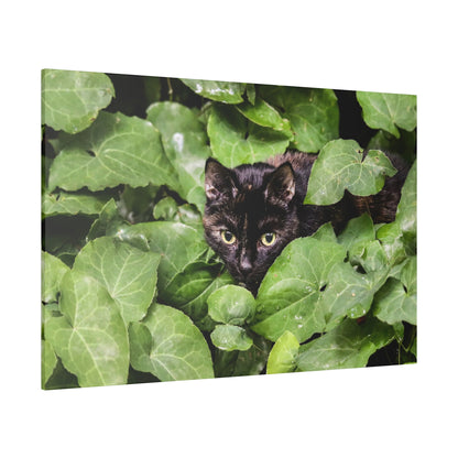 Black cat with yellow eyes hiding among dense green ivy leaves.