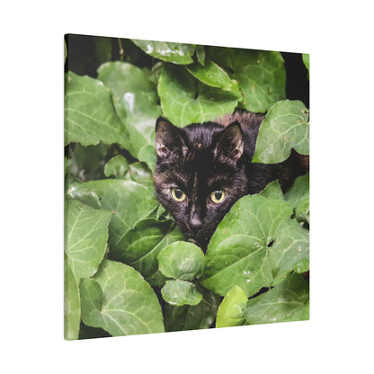 Black cat with yellow eyes peeks through dense green ivy-like leaves.