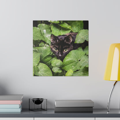 A black cat with bright yellow-green eyes hides among thick green leaves.