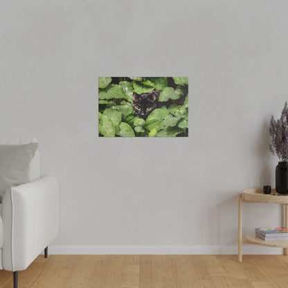 Small rectangular wall art showing a black cat peeking through dense green ivy leaves.
