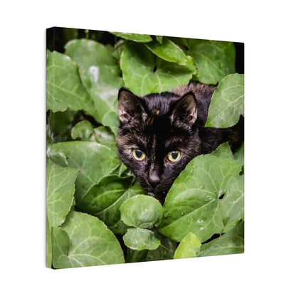 A black cat with yellow eyes hides among dense green ivy leaves.