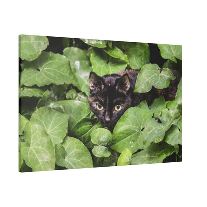 Black cat partially hidden among large green leaves, with yellow eyes peering through the foliage.