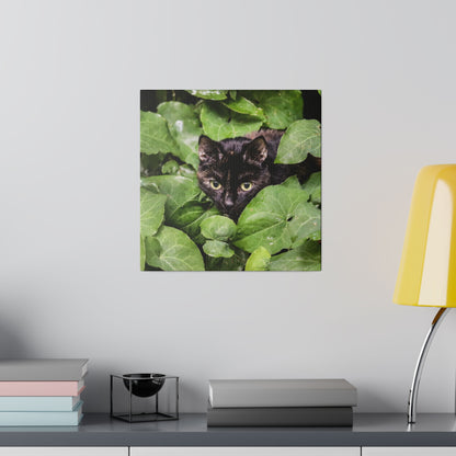 Square wall art of a black cat peering through green leaves on a gray wall.