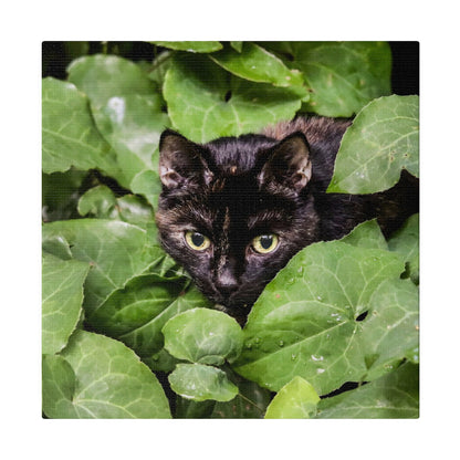 Black cat with yellow eyes peering through dense green leaves.
