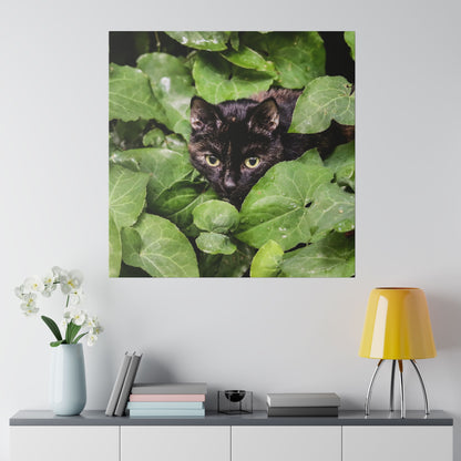 Close-up of a black cat with yellow-green eyes peeking through dense green ivy leaves.