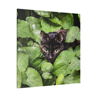 A sleek black cat with amber eyes hides among broad green ivy leaves.