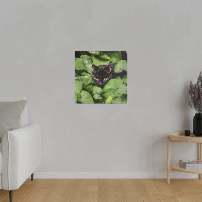 Square wall art depicting a black cat peeking through dense green leaves.
