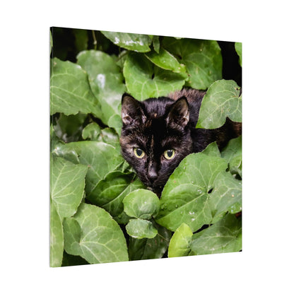 Black cat with yellow-green eyes sits among large green leafy plants, peering through the foliage.