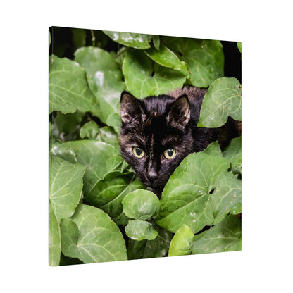 A black cat with yellow-green eyes peeks from dense green leaves.