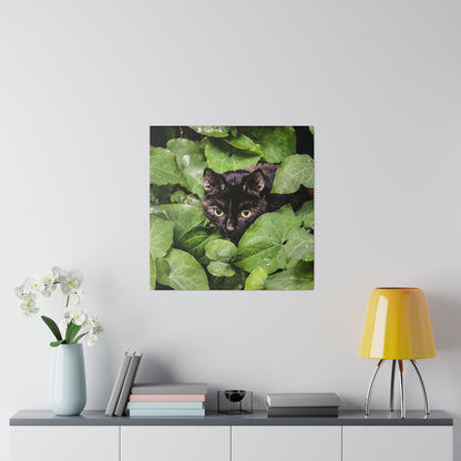 Square photo of a black cat peeking through dense green leaves.