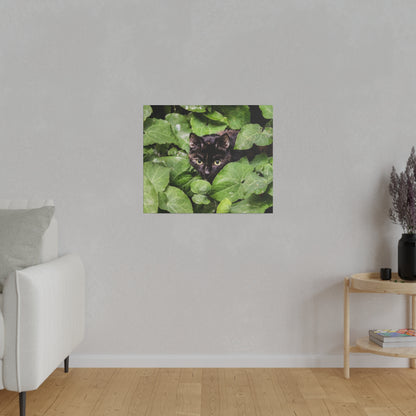Framed print of a black cat peeking through dense green leaves, hung on a gray living room wall.