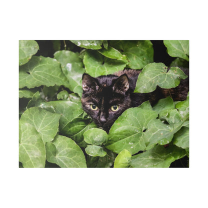 Black cat with yellow eyes peeks out from dense green ivy leaves.