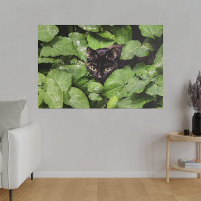 Black cat hiding among dense green ivy leaves, its yellow eyes peering through.