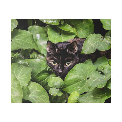 Black cat partially hidden among large green leafy plants, yellow eyes peering through foliage.