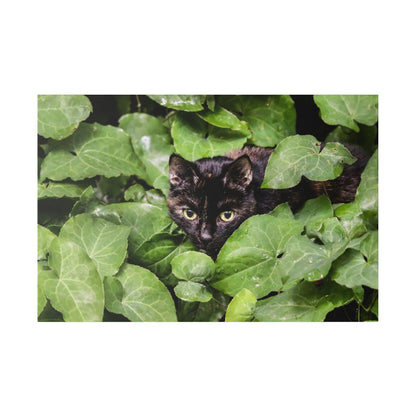 Black cat with bright yellow eyes hidden among dense green ivy leaves.