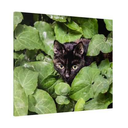 Black cat with yellow-green eyes nestled among large green leaves.