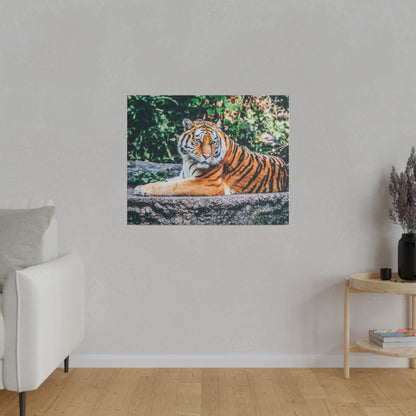 Canvas art showing a reclining orange tiger with black stripes on a stone ledge, green foliage in the background.
