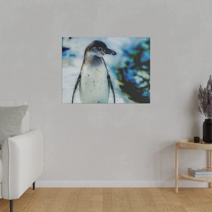 Framed photo of a penguin standing on snow, hung on a light gray living-room wall.