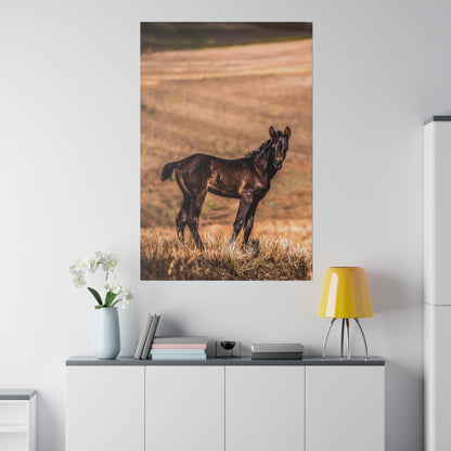 A dark brown horse stands in a dry grassy field, viewed in a tall hanging wall art print.